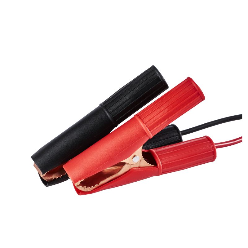 Prostownik mikroprocesorowy 10AMP 12/24V