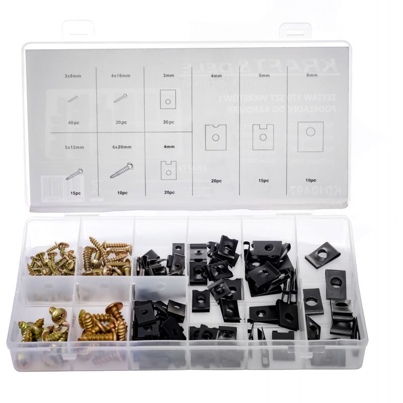 Zestaw wkrętów i podkładek do karoserii 170szt. KD10497