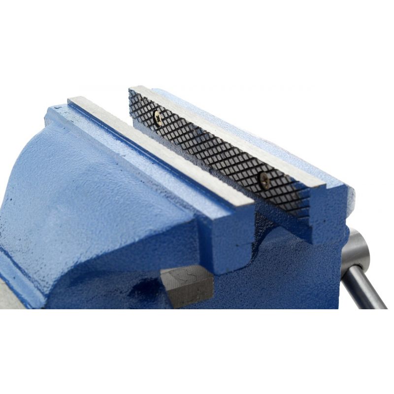 Imadło obrotowe 100 mm z kowadłem KD1101