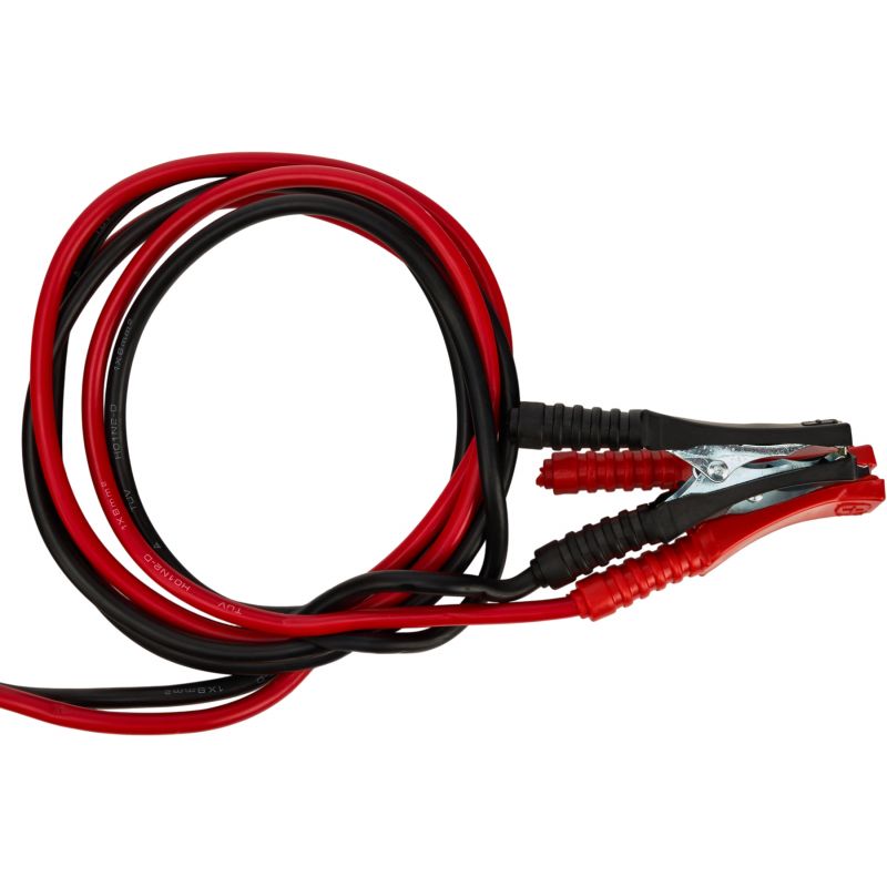 Prostownik akumulatorowy 12/24V 30/250aH KD1924