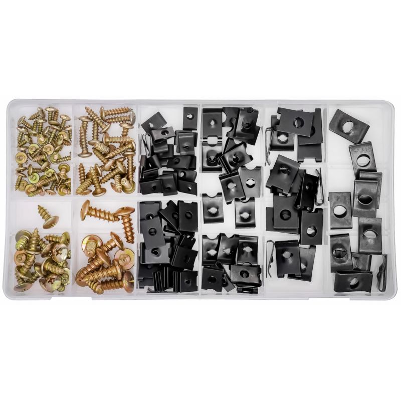 Zestaw wkrętów i podkładek do karoserii 170szt. KD10497